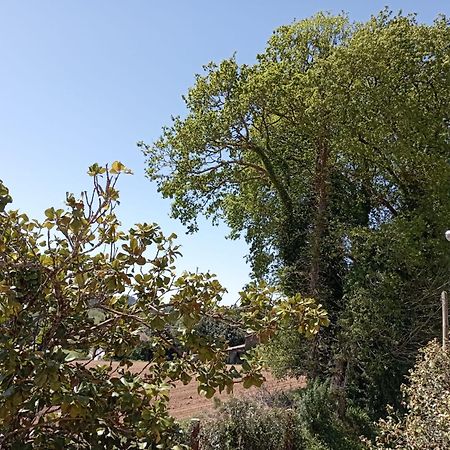 A Casa Do San Paio De Buscas Daire Ordes Dış mekan fotoğraf