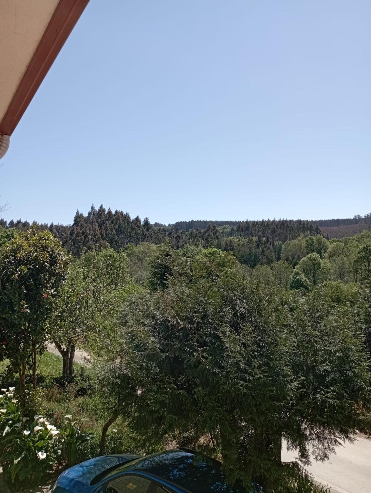 A Casa Do San Paio De Buscas Daire Ordes Dış mekan fotoğraf