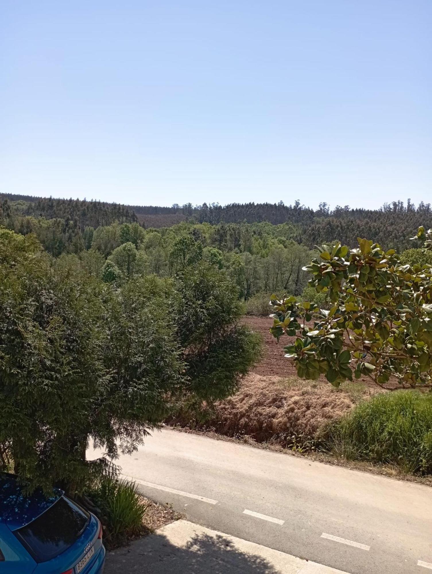 A Casa Do San Paio De Buscas Daire Ordes Dış mekan fotoğraf
