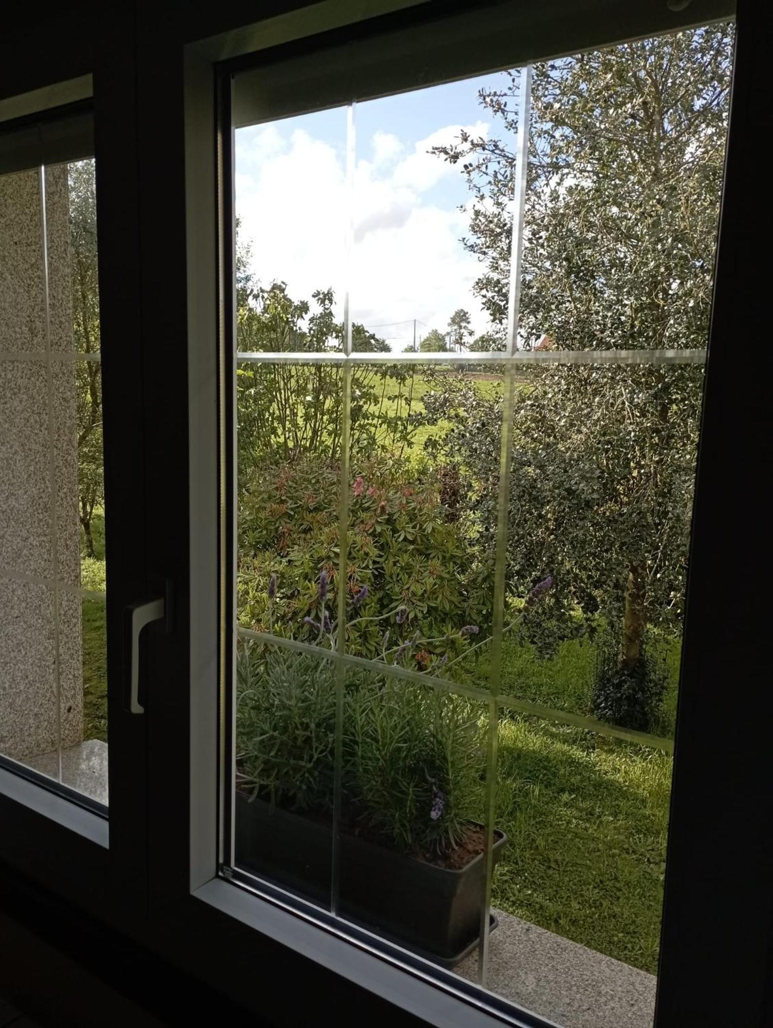 A Casa Do San Paio De Buscas Daire Ordes Dış mekan fotoğraf