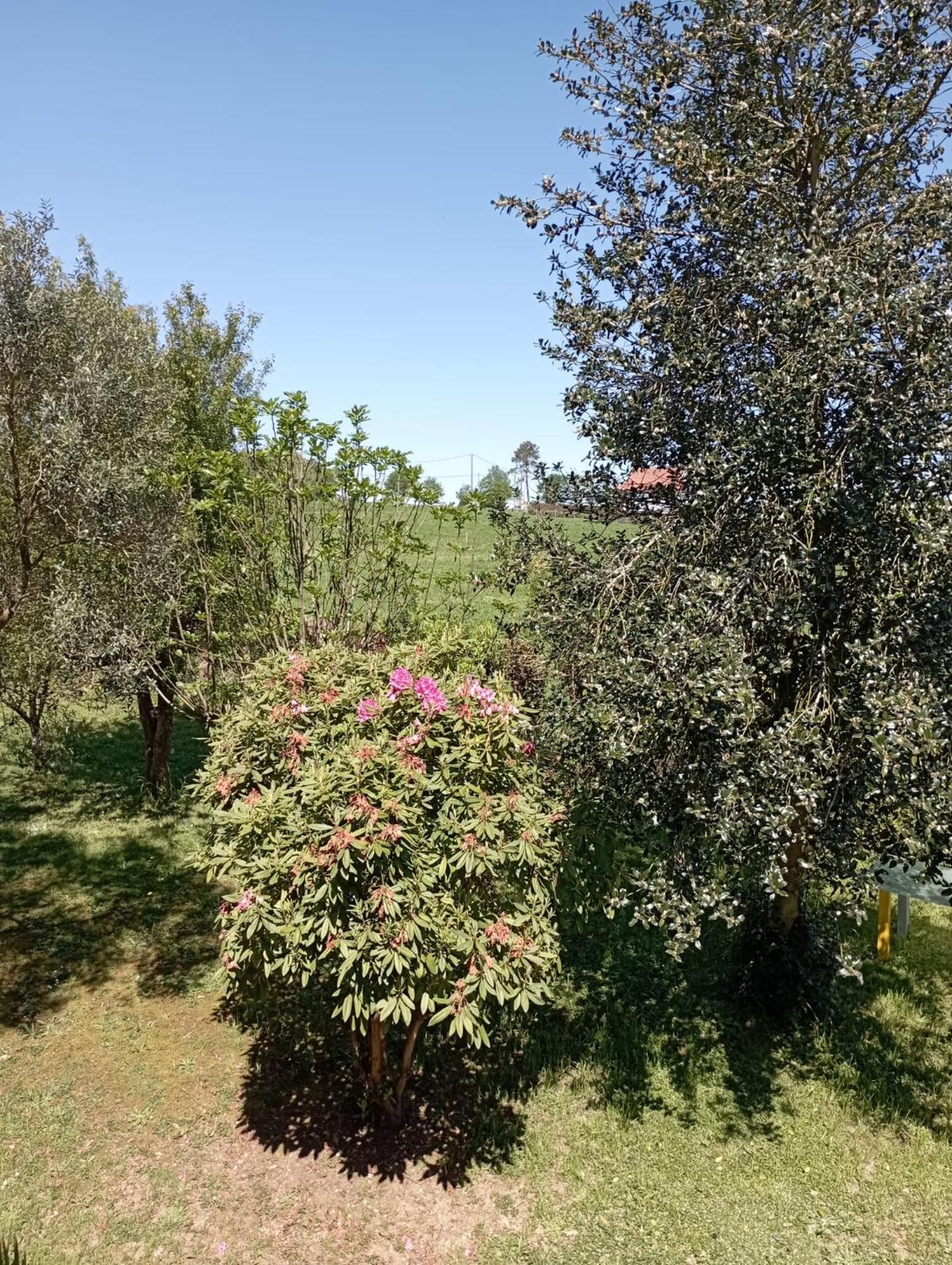 A Casa Do San Paio De Buscas Daire Ordes Dış mekan fotoğraf