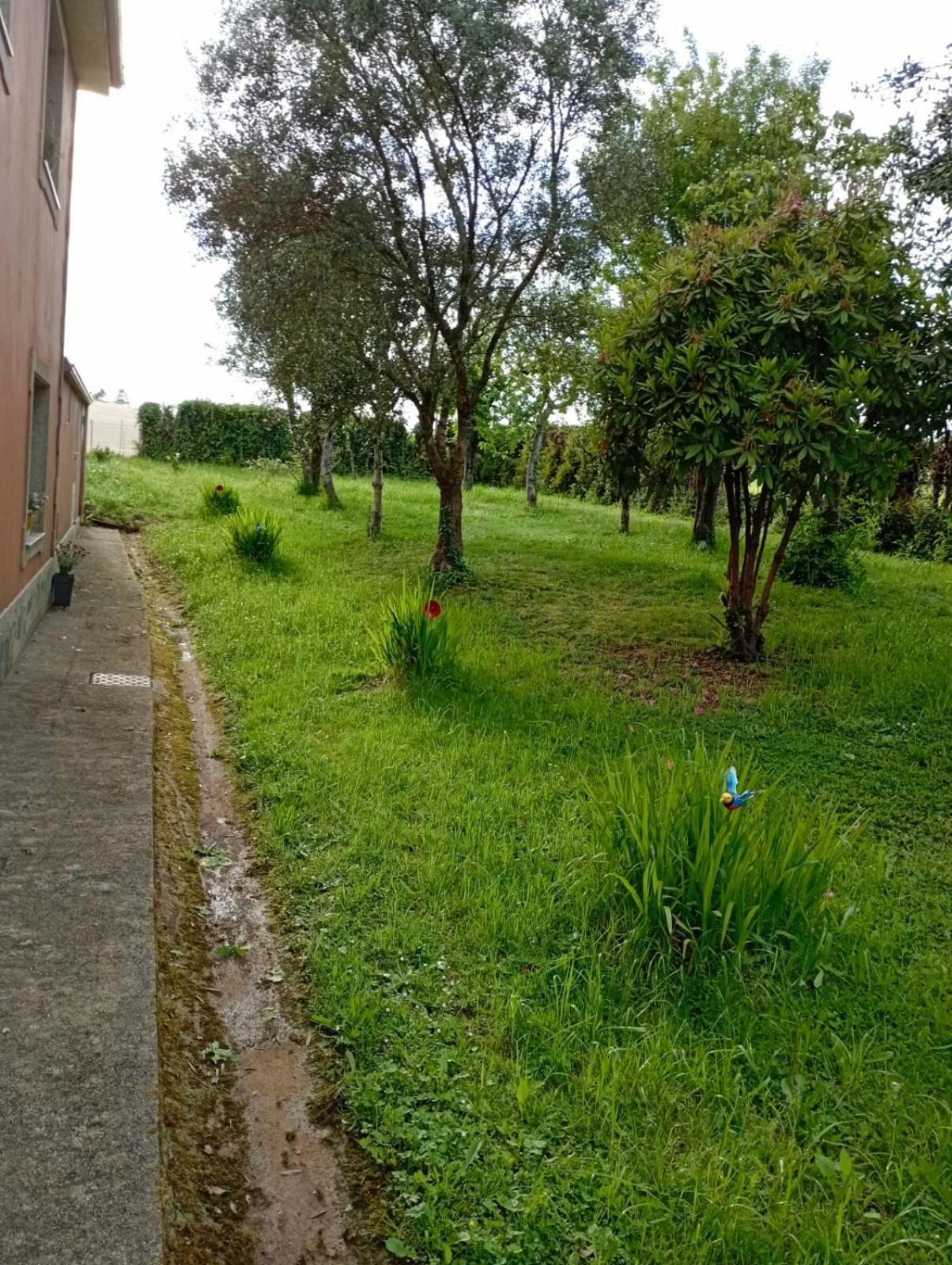 A Casa Do San Paio De Buscas Daire Ordes Dış mekan fotoğraf