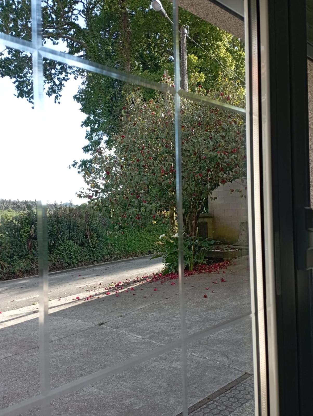A Casa Do San Paio De Buscas Daire Ordes Dış mekan fotoğraf
