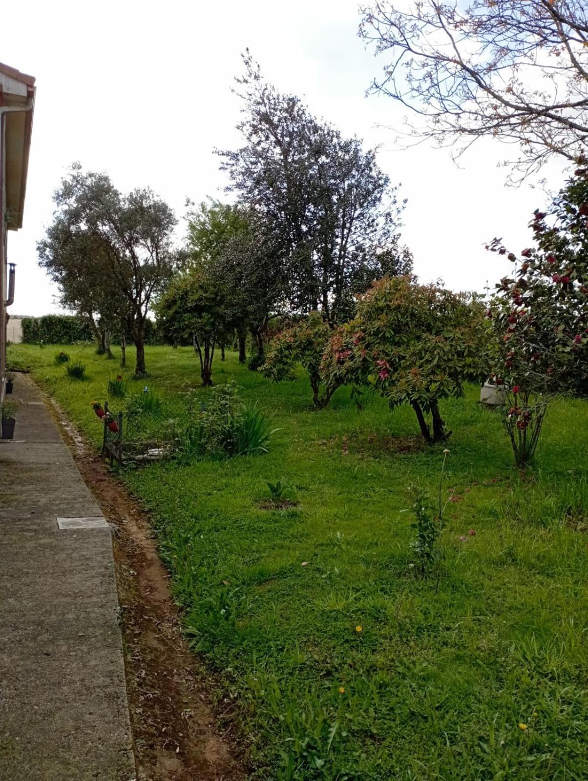 A Casa Do San Paio De Buscas Daire Ordes Dış mekan fotoğraf