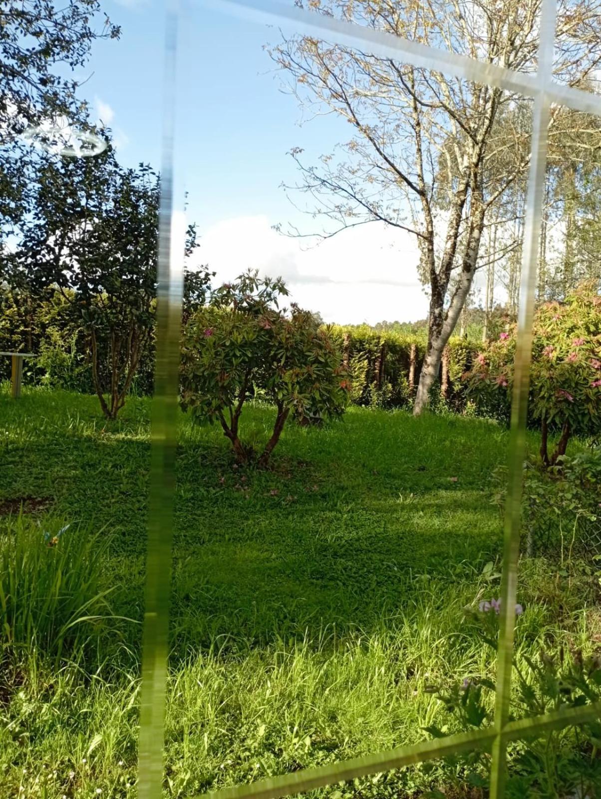 A Casa Do San Paio De Buscas Daire Ordes Dış mekan fotoğraf